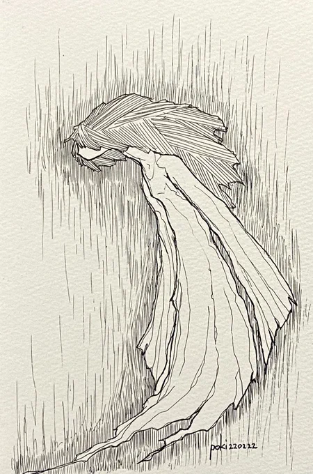 幽けきひと 