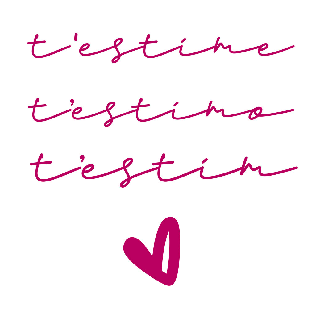 Larouchart's tweet photo. Hi ha algo més bonico que dir que t'estime amb la teua llengua materna? Celebrem la diversitat, la sonoritat i el sentiment d'expressar-te amb la teua llengua. #DiaDeLaLlenguaMaterna #LaGossaSorda #Estime #Estimo #Estim https://t.co/npLGBYCfFw