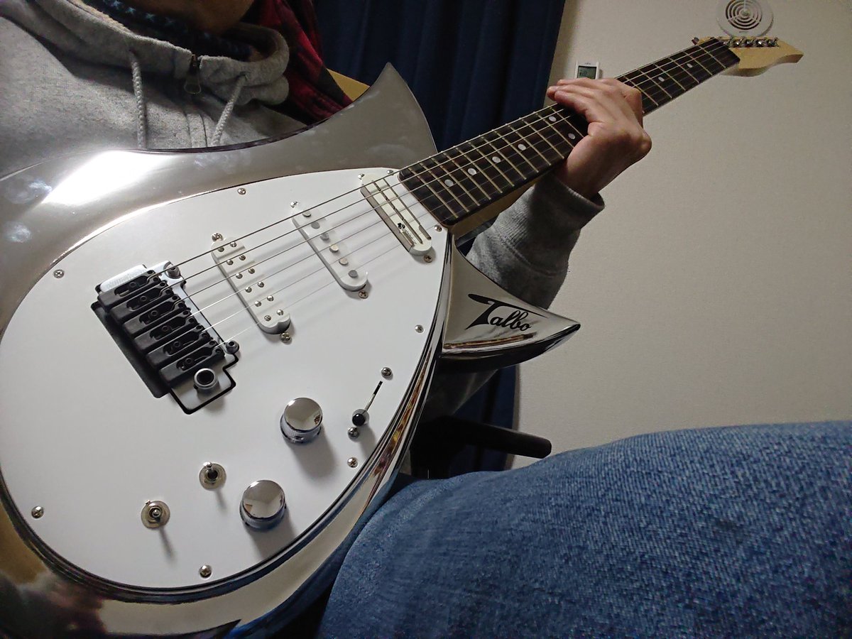 TALBO 購入から1年やっと来た… 平沢進仕様のTALBO ICE-9 明らかに