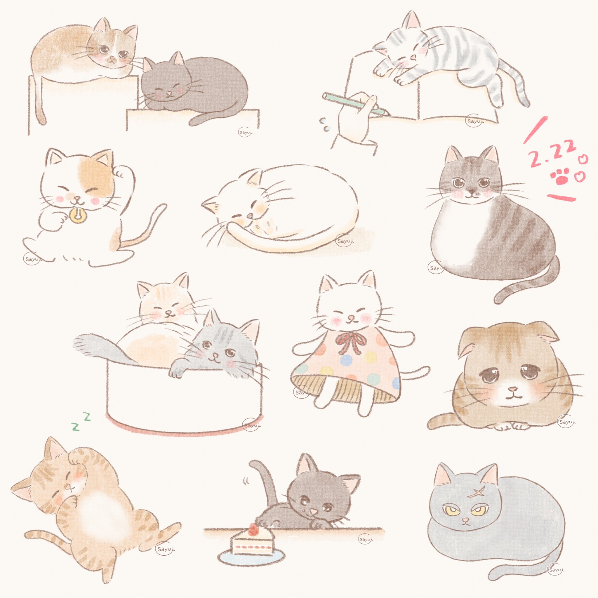 さゆい Poca Poca To Kumaneko No Twitter