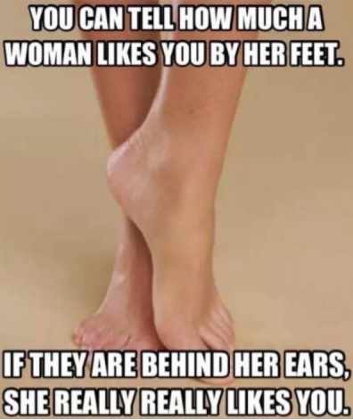 #sex #funny #erotic #adult #sfw https://t.co/XJtokLCrIG
