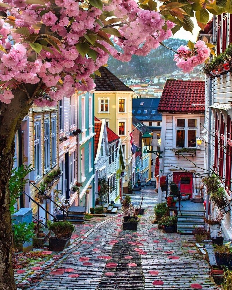 eluxurytrip's tweet photo. Bergen, Norway 🇳🇴
For more stunning destinations follow us @eluxurytrip
#travel #travelphotography #worldtour #norway #colorfulstreet #eluxurytrip https://t.co/KnxFXyRH8Q