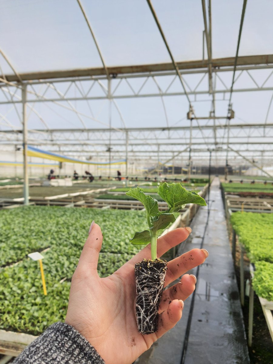 İşimizin Başındayız
#DoğayaRenkKatıyoruz
#FidePark