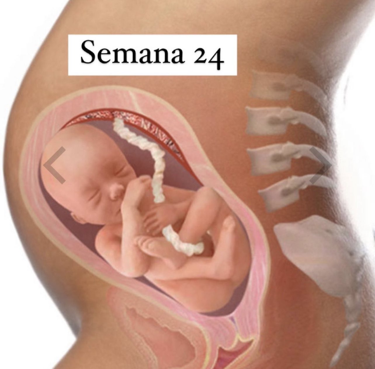 Patricia Riveros Rechazo Total Corporosablanca Jaliriobarrerar Mesanalvictimas Red Defensoras Fundiheco Fevcolfed Condenamos La Vida O La Protegemos Cconstitucional T Co 1auigdvuja Twitter