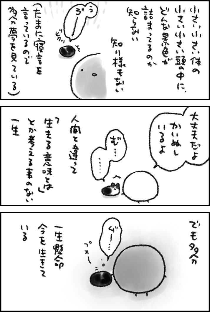 #スーパー猫の日 
2022年2月22日 