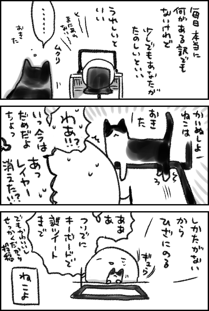 #スーパー猫の日 
2022年2月22日 