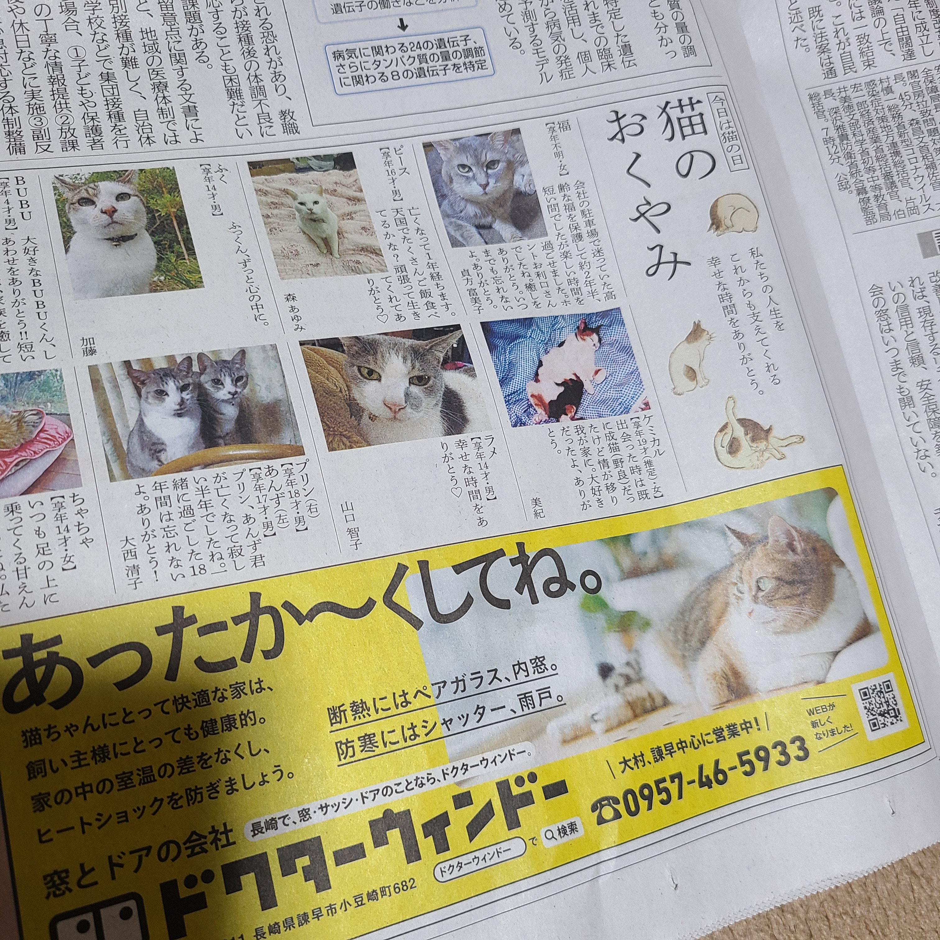 にゃがさき新聞 Twitter Search Twitter