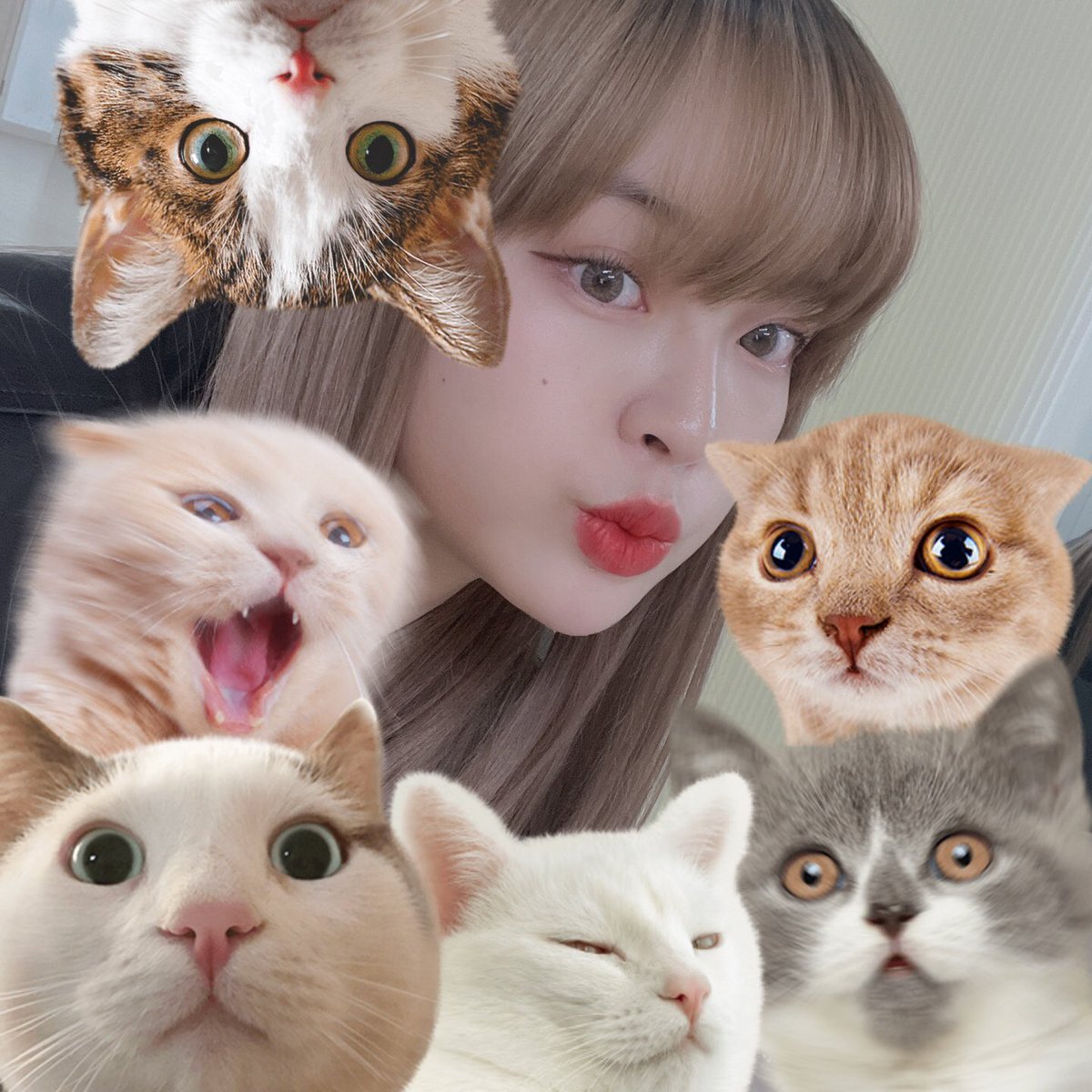 LUNARSOLAR_'s tweet photo. [#유우리]

ネコの日😽🙀😾
좋은 🌸요일 보내셨나요??

#루나솔라 #LUNARSOLAR #YUURI #徳永さん #裕梨 https://t.co/Ezt6jknD4A