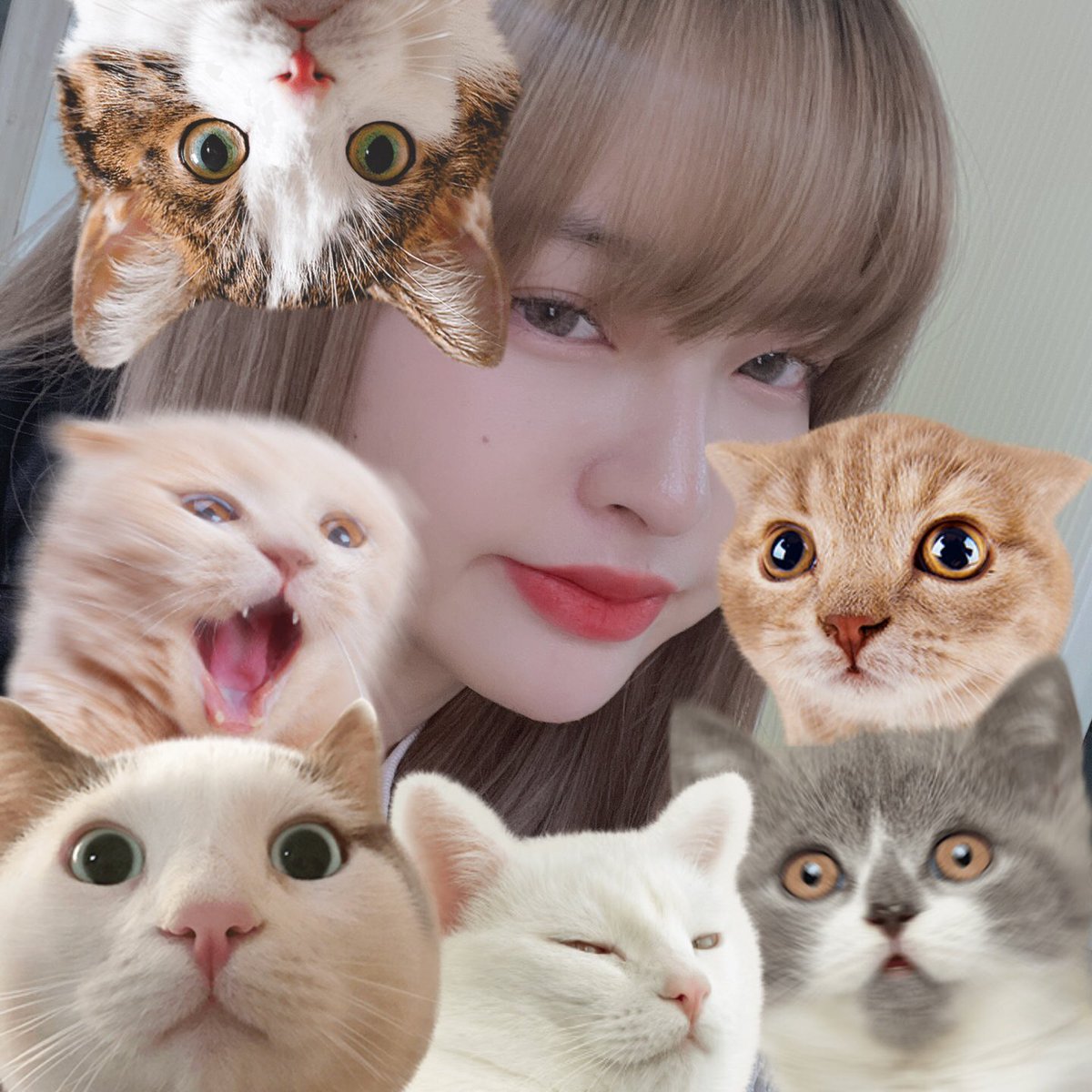 LUNARSOLAR_'s tweet photo. [#유우리]

ネコの日😽🙀😾
좋은 🌸요일 보내셨나요??

#루나솔라 #LUNARSOLAR #YUURI #徳永さん #裕梨 https://t.co/Ezt6jknD4A