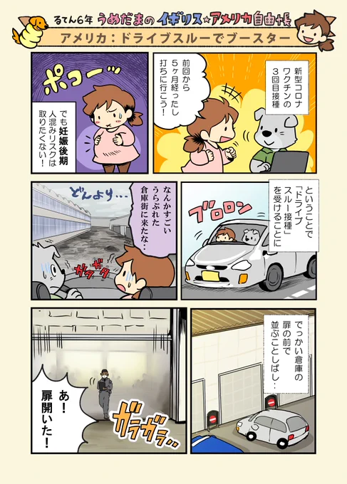 まんが021 アメリカ:ドライブスルー接種
アメリカは最初ブースター接種間隔が6ヶ月でしたが、5ヶ月に短縮。政府からアナウンスがあった後、数日後には州内の接種会場にも周知されていたので、動きが早かったです。臨月前に打ててよかった‥ #イギリス自由帳 #アメリカ自由帳 #うめだま自由帳 