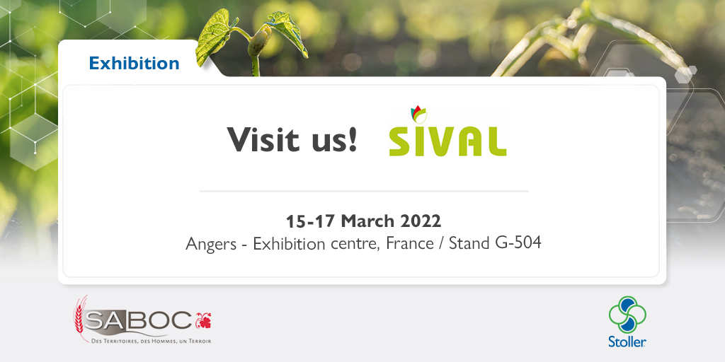 StollerEurope's tweet photo. Stoller Europe will be present at @SIVAL_ANGERS from March 15 to 17 in Angers, France, supporting our distributor in the area SABOC.

Come visit us at stand G-504 and discover the #StollerSolutions for your crop!

#SIVAL22 #Angers #ThisIsStoller #ThisIsCustomer https://t.co/XhYzmOSP6U