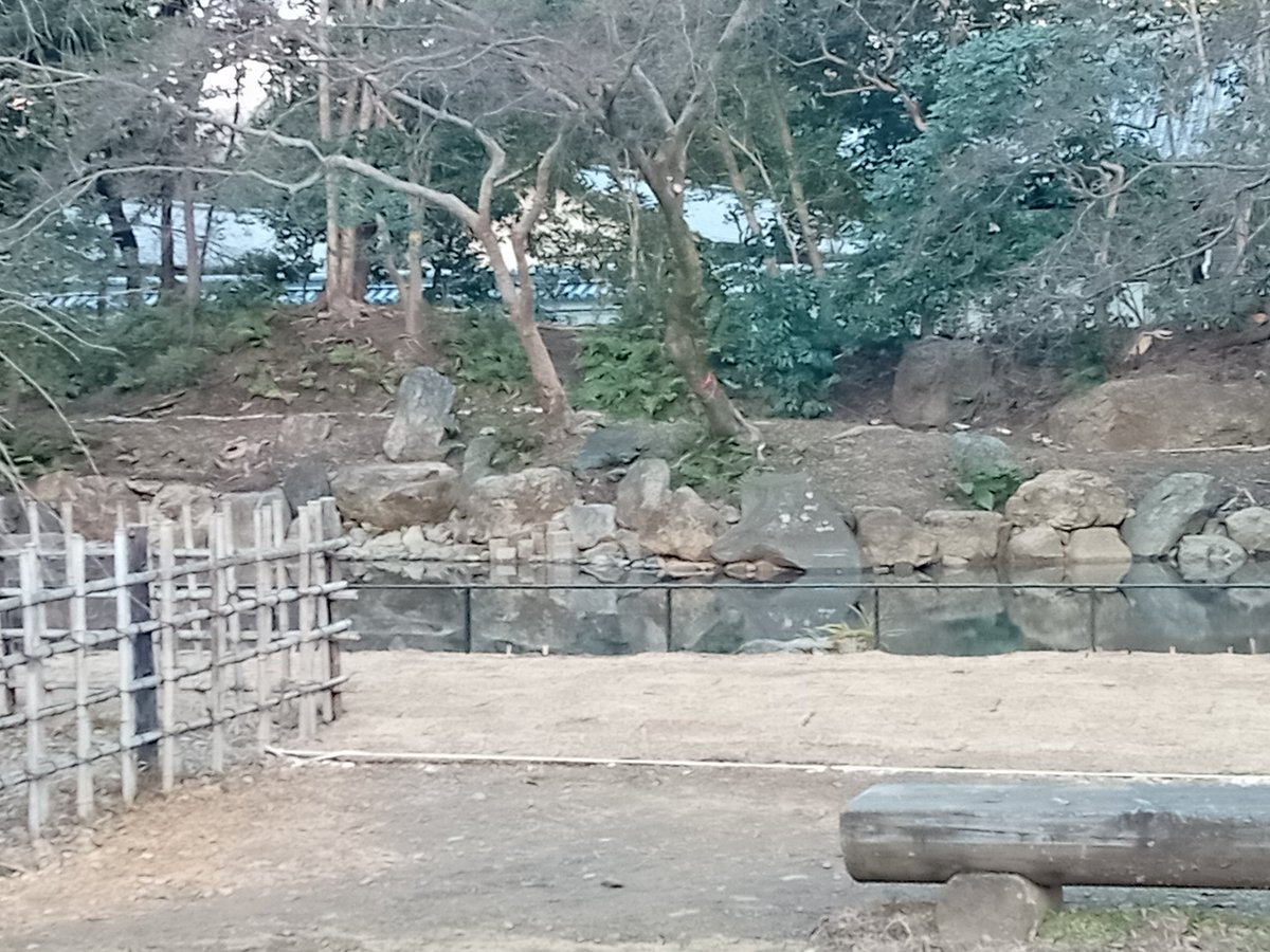 so_e794's tweet photo. 京都御苑の近衛池は数年前から水がなくて残念な状態だったけど、去年から工事が始まって、今日見たら水が入ってた。以前からあった北側の水路は使わずに、ホースで給水してるように見える。桜が咲く頃までに完成するんだろうか。
#京都御苑,#近衛池,#旧近衛邸,#工事 https://t.co/6dMjZs1L16