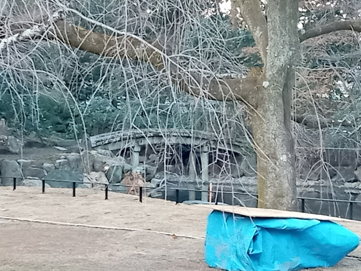 so_e794's tweet photo. 京都御苑の近衛池は数年前から水がなくて残念な状態だったけど、去年から工事が始まって、今日見たら水が入ってた。以前からあった北側の水路は使わずに、ホースで給水してるように見える。桜が咲く頃までに完成するんだろうか。
#京都御苑,#近衛池,#旧近衛邸,#工事 https://t.co/6dMjZs1L16