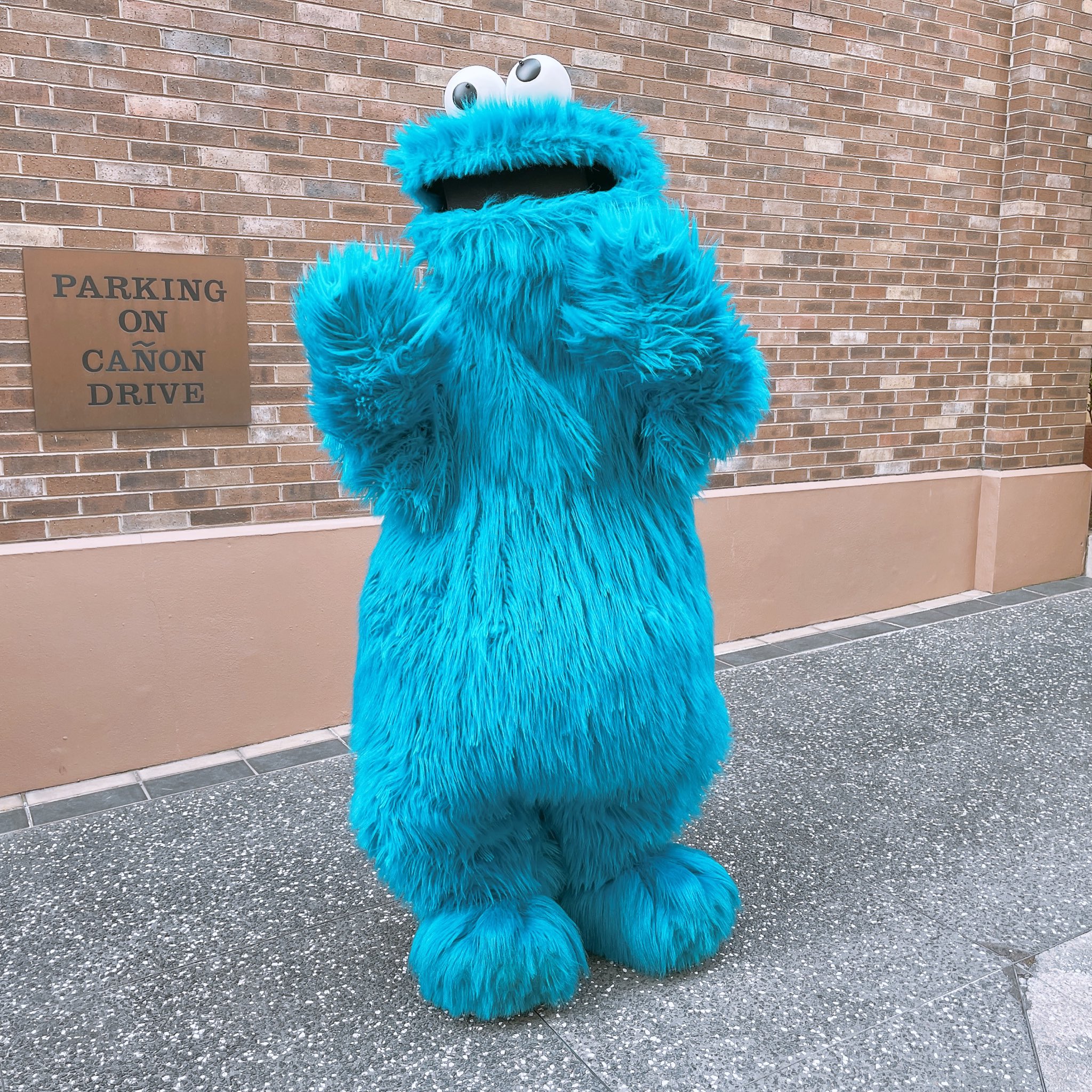 クッキーモンスター Poisk V Tvittere Tvitter