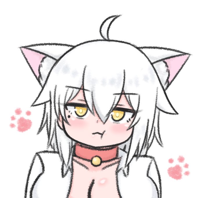 首輪が気に入らないにゃんこプロちゃん 