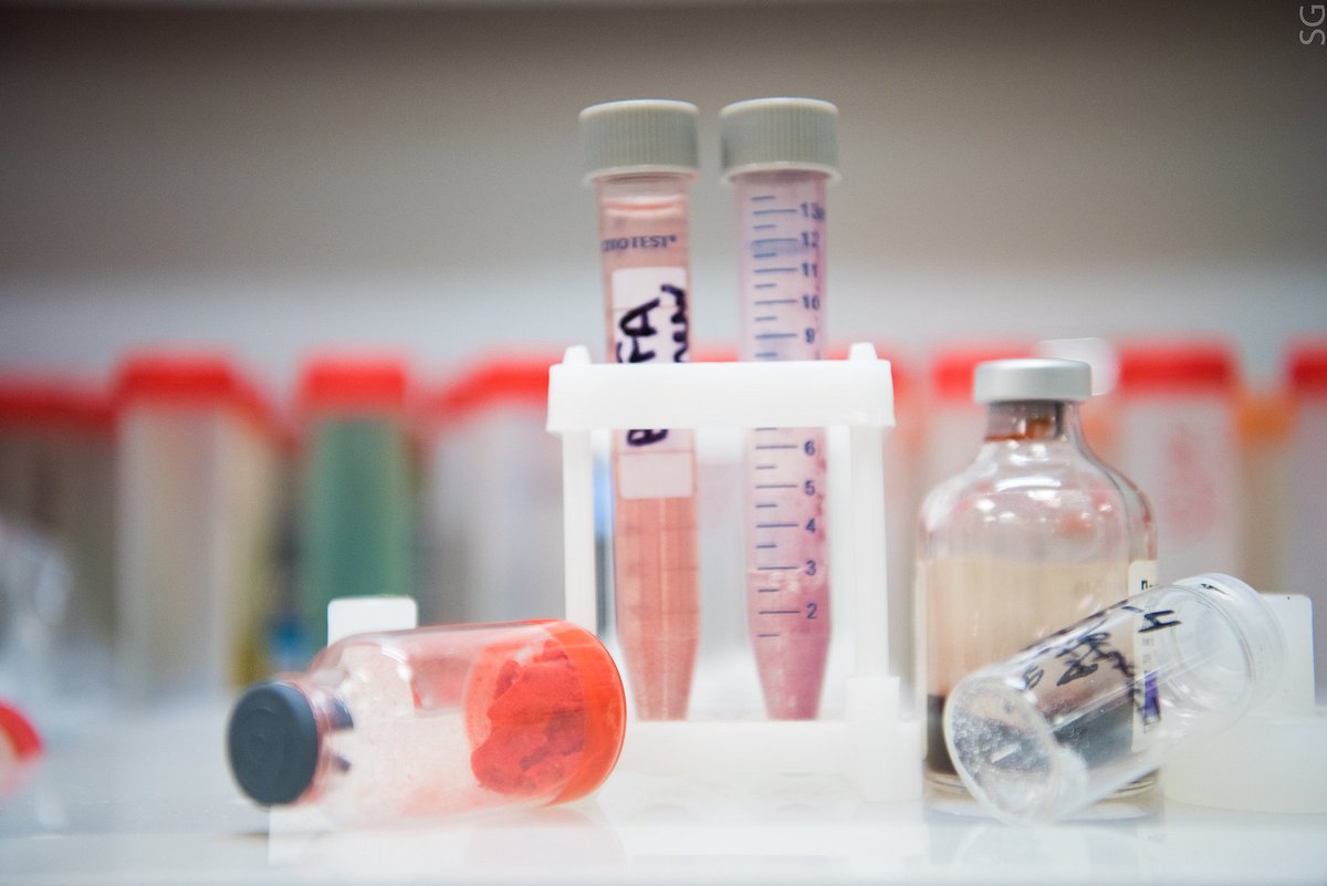 Алевтина Черникова tweet media