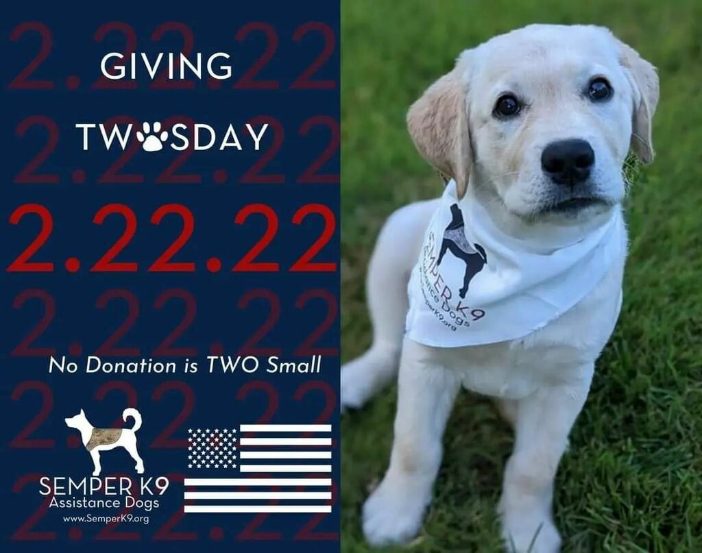 It's 2.22.22  Giving 'TWOS'day. Help us reach our fundraising goal! No donation is TWO small! Link in bio ☝️☝️🇺🇸🐕‍🦺💓

ift.tt/RlYhezw

#servicedogs4vets #ServiceDogsForVeterans #semperk9sWiley #veteranshelpingveterans #givingTWOSday #GivingTuesd… instagr.am/p/CaR1oeKr1yo/
