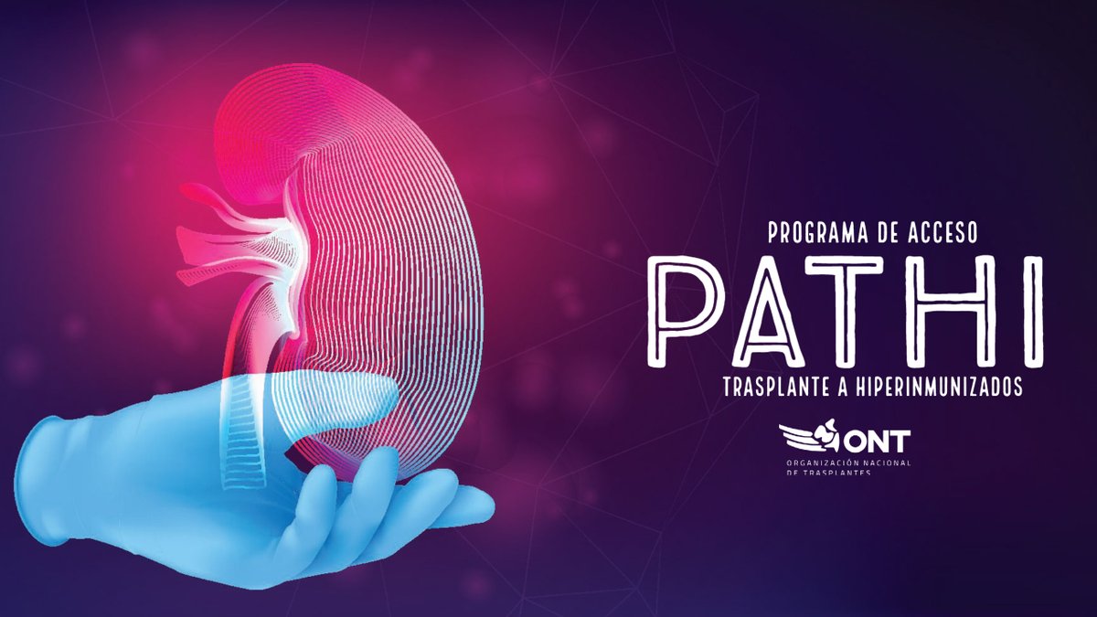 En 2021, 123 pacientes renales hiperinmunizados encontraron #donante compatible gracias al programa #PATHI de la <a href="/ONT_esp/">Organización Nacional de Trasplantes</a>. Para estas personas, acceder al #trasplante resulta especialmente complicado debido a su condición hipersensibilizada ⬇️