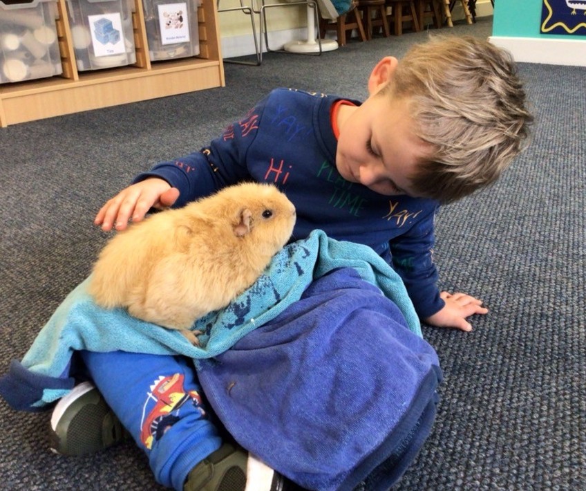 Bright Horizons Fair oak tweet media