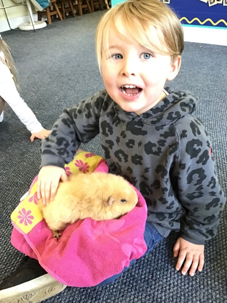 Bright Horizons Fair oak tweet media