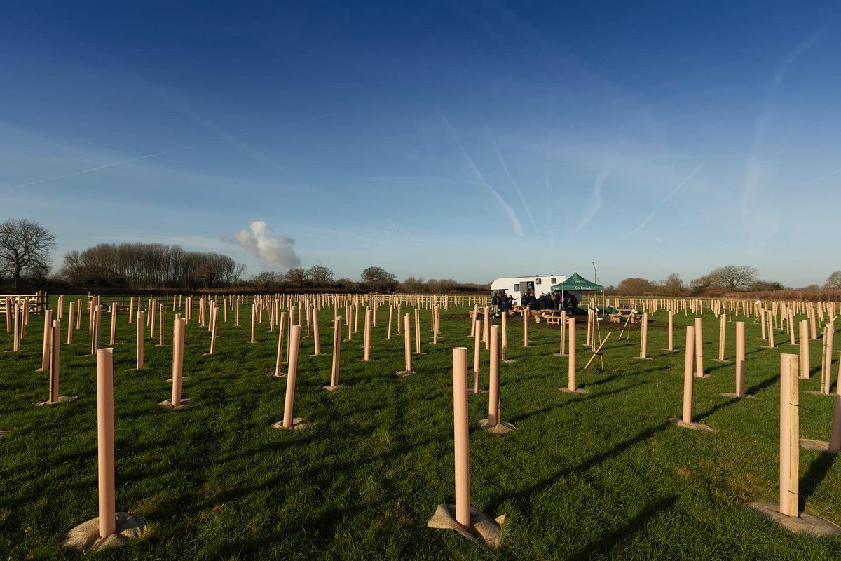 🌲 As we saw hundreds of thousands; potentially millions; of trees fell due to recent weather, we’re really happy to have taken part in the Co-forest and <a href="/setsquared/">SETsquared</a> tree planting event. 40 people planted 450 trees in three hours! #carboncapture #trees
