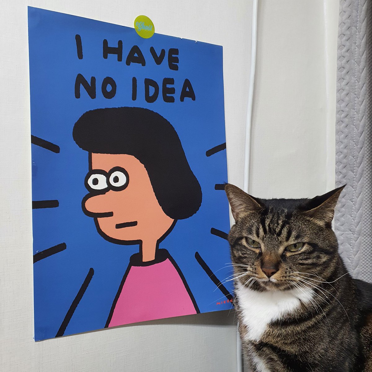 타미가 말하는 거 같다 🐈‍⬛(`ヘ´*)ノ