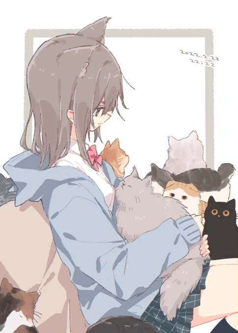 🐈🐈🐈🐈🐈🐈🐈🐈🐈🐈 
#猫の日 