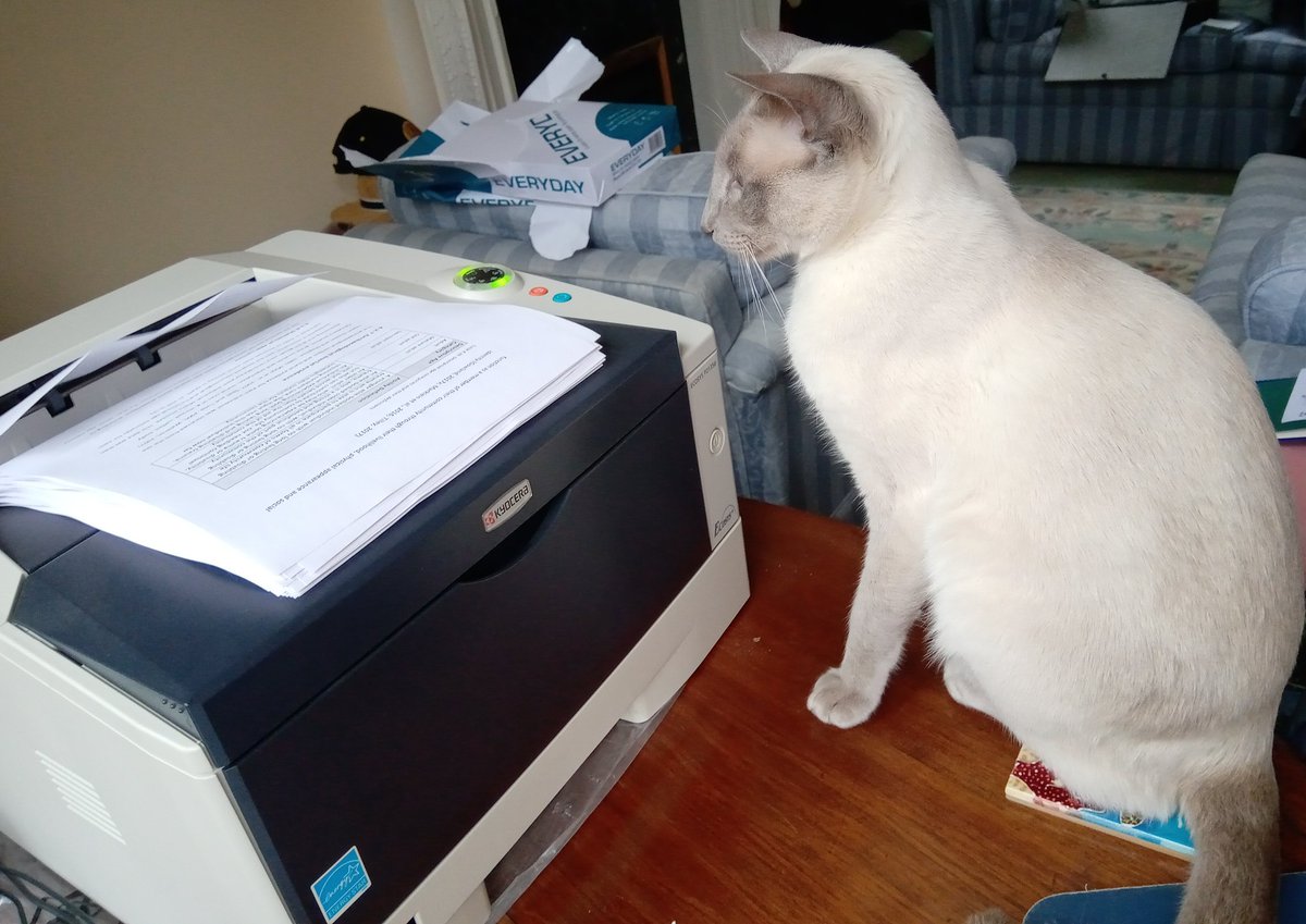 sh_mills's tweet photo. "This thesis is dedicated to Monty, who sat by me while I typed" ..and now he is supervising the printing of it prior to my Viva https://t.co/SiJ1CmjMzg