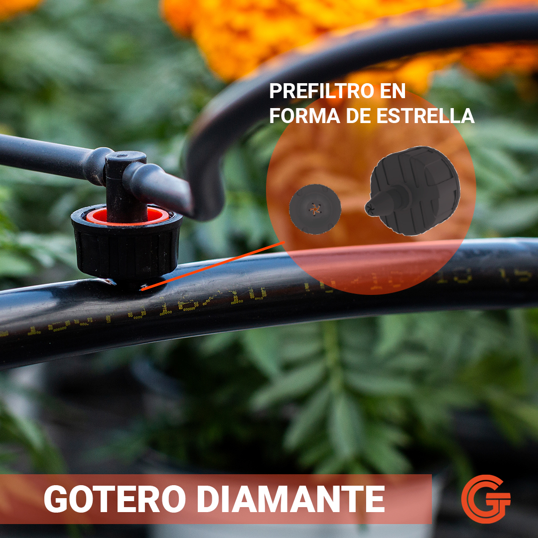 Gestiriego Península tweet media