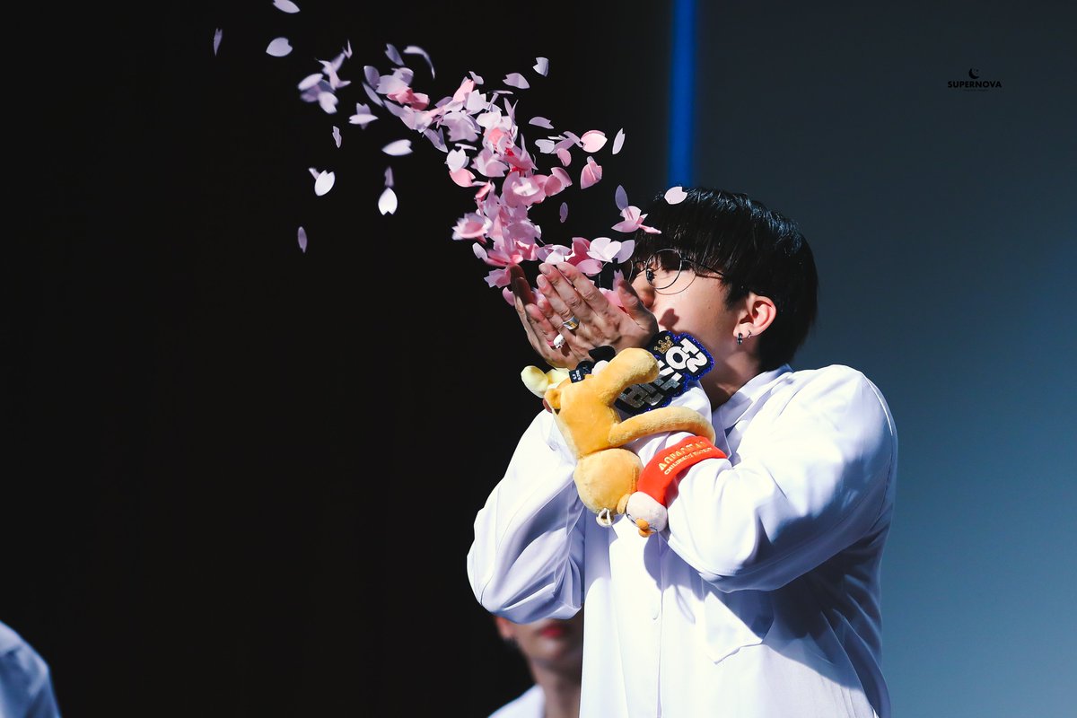spearb_kr's tweet photo. 🌸🌸 https://t.co/dwvG2dJJuH