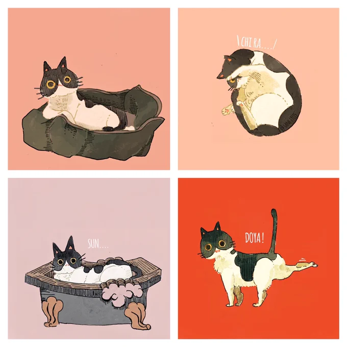 🐈ねことのひび🐈‍⬛
#猫の日   #スーパー猫の日 
