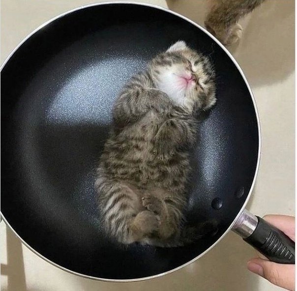 молодящий поцелуй tweet media