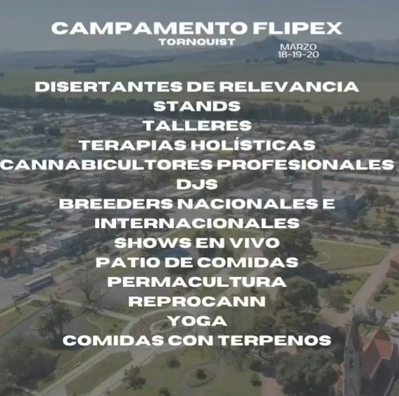 Flipex_ok's tweet photo. 📣 #CampamentoFlipex 🌱🏕 https://t.co/WP6AsCTksZ