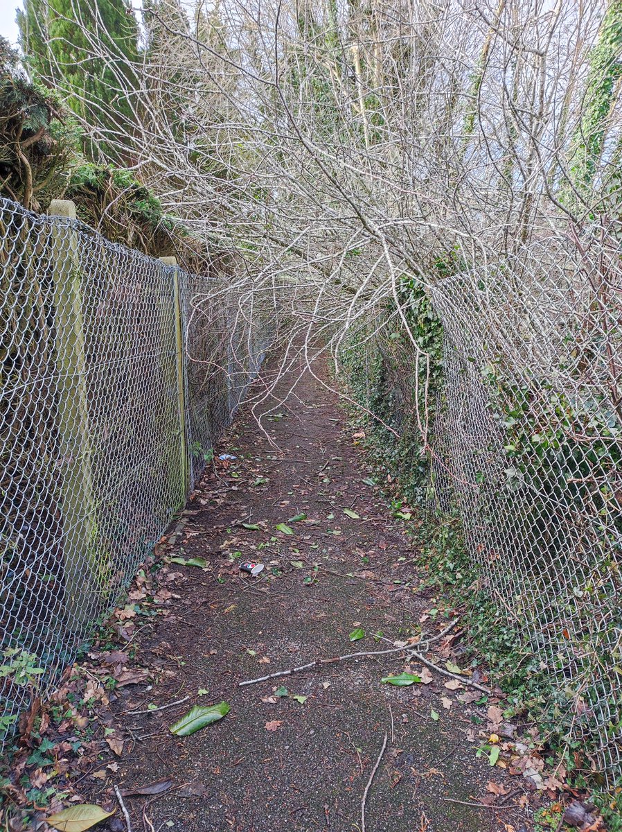 Maria03108's tweet photo. @BracknellForest 
@FoxHill_Primary
The little alleyway to the Leisure Centre and to the Fox Hill Primary School back gate. We have to crawl under the branches every morning to the school. Because the other way to the school, Rectory Lane is closed. I think it's not safe. https://t.co/NvBUjkby92