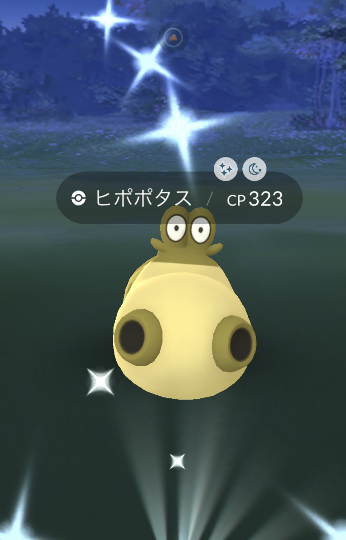 ヒポポタス色違い Twitter Search Twitter