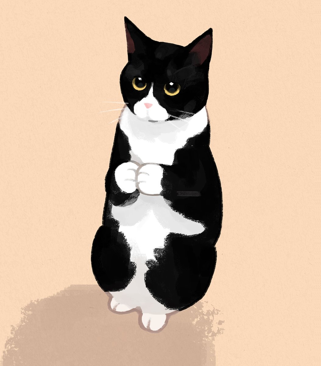 gentleeeeeeecat's tweet photo. https://t.co/aBaUUQoR3m