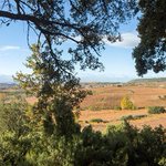 Photo by Bodegas Ostatu (@ostatu)