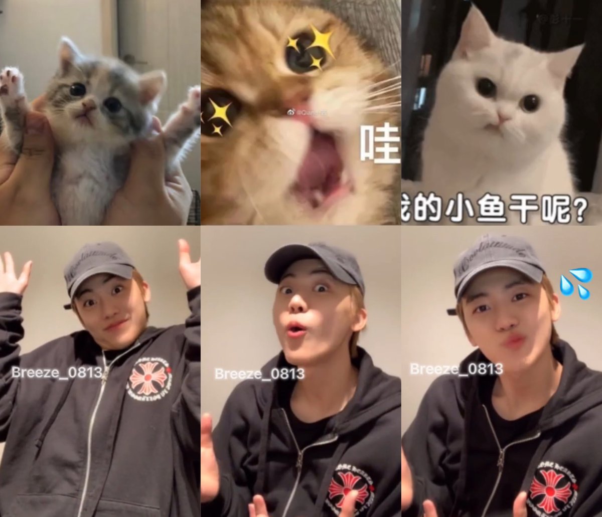 merlynsie's tweet photo. แจมินนนนน ㅠㅠㅠㅠㅠ น่ารักมากกกๆๆๆ ไม่ไหวแล้ว เป็นแง๊ว เป็นเหมียว น่ารักใจเจ่บ https://t.co/GnxoH1xjd9