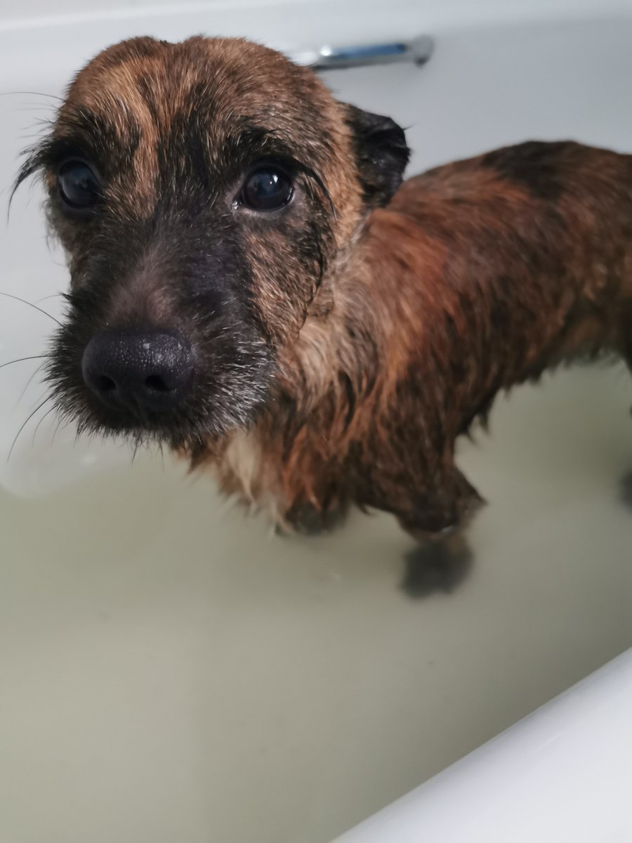 UK Wx Community Board of Directors ©2018 tweet media