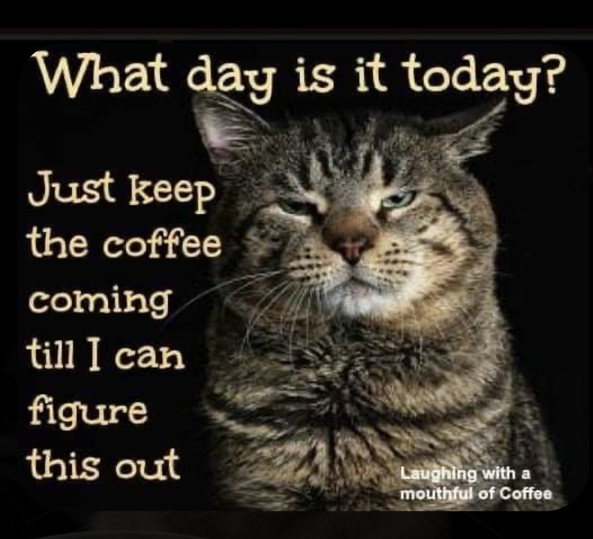 Apricity1music's tweet photo. •#butfirstcoffee
•#caffeineaddict
•#caffeinebuzz
•#caffeinefix
•#coffee
•#coffeeaddict https://t.co/RGYYiNfJkg