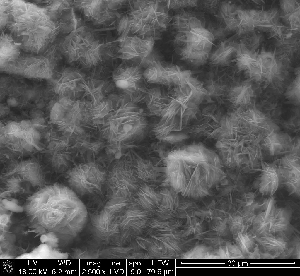 Nature_observer's tweet photo. #SEM image of #gyrolite in autoclaved cellular concrete https://t.co/VcCQjBhRZB