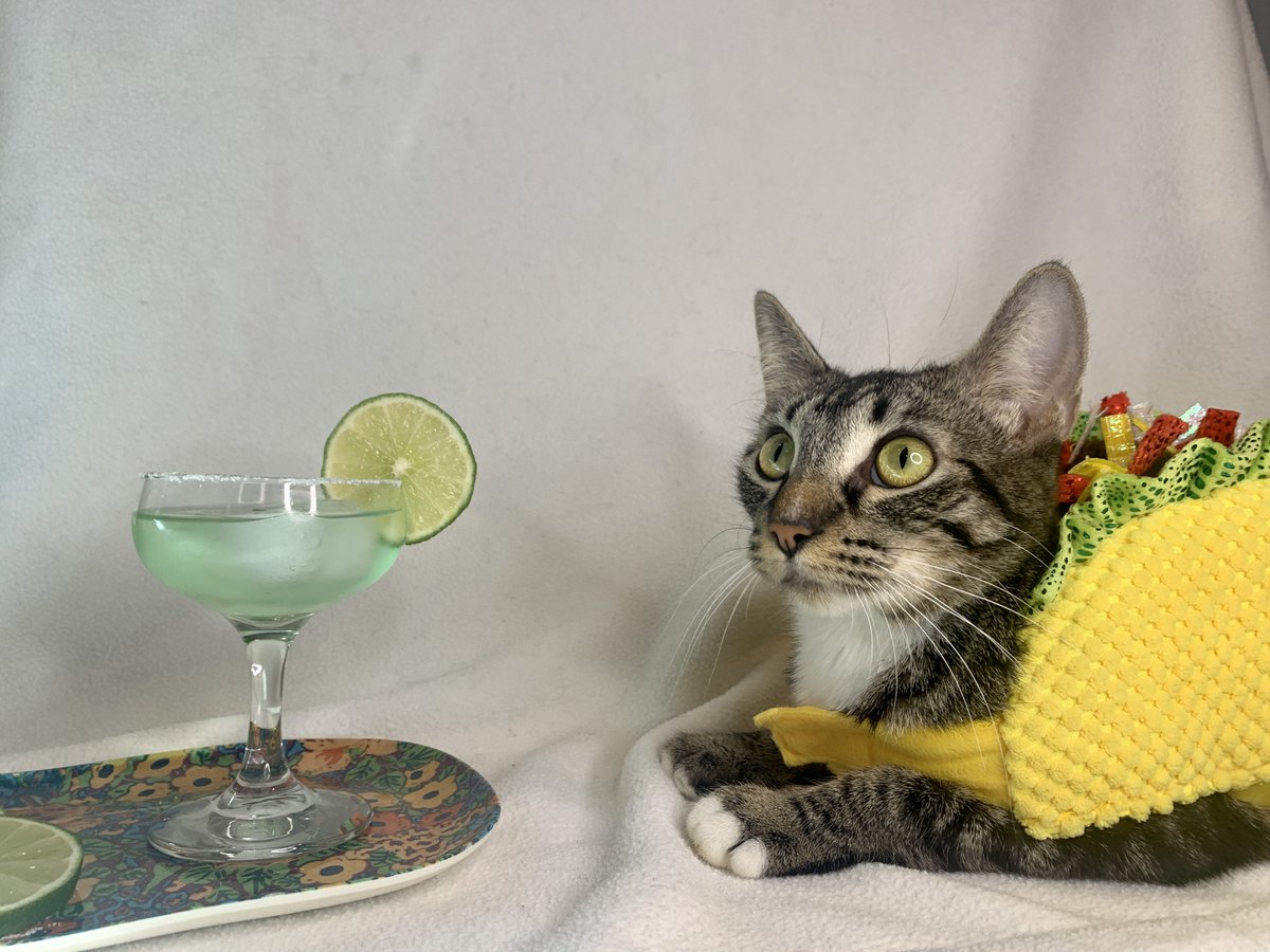 Happy #nationalmargaritaday!! It's also Taco Tuesday, so we know what we are doing after work 👀