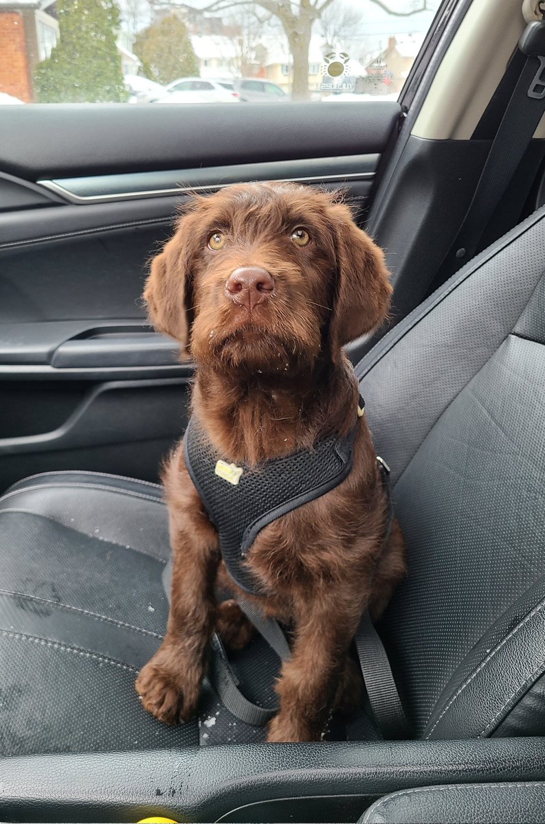 MTL WINE GUY🍷🇮🇹 tweet media