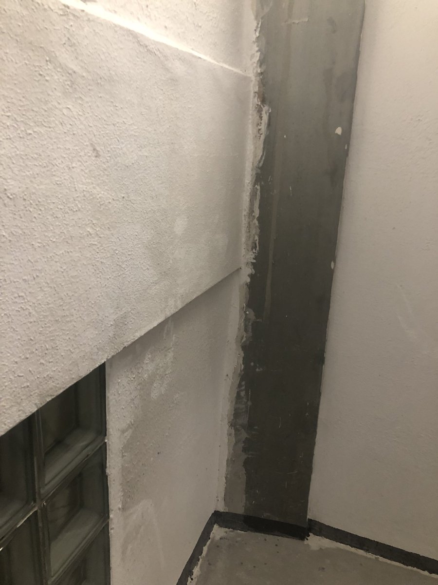 Варвара Плющ tweet media