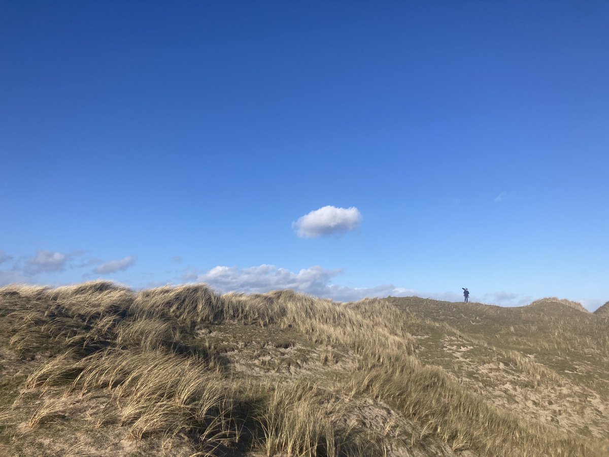 JenniferMcElwa3's tweet photo. Great day for field Botany today with the @TCBotanicGarden team in Co. #Wexford Very lucky with the weather @TCD_NatSci https://t.co/sPv0z3w1Nz