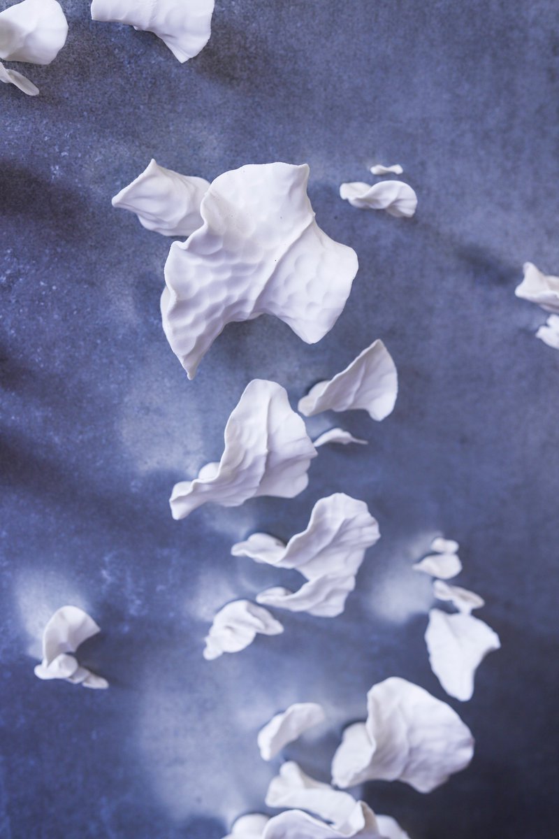 #BARRbx #Filrouge #Iloverbx #ceramic #contemporaryart "ECCE TERRA" _ derniers jours — 24/25/26 fév.
Céramique contemporaine : Matéo CLAUSSE Jessie DEROGY Dorian FELGINES Arnaud FOLLIOT Hippolyte HERFLOH Séverine HUBARD Ellande JAUREGUIBERRY Inès LAVIALLE Shuling LIU