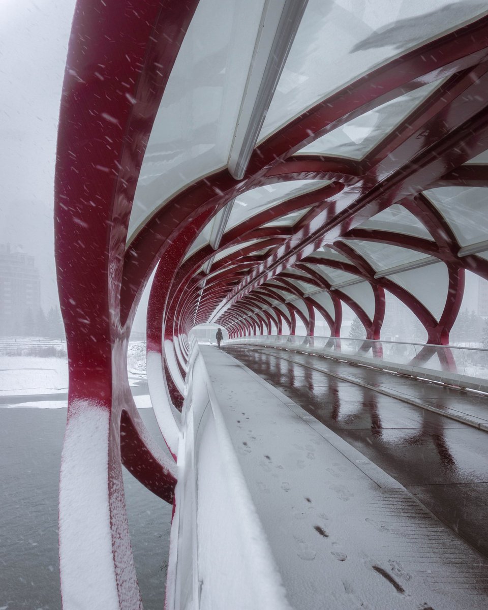 GM from a chilly #YYC 🥶❄️ stay warm everyone! Also happy #Twosday