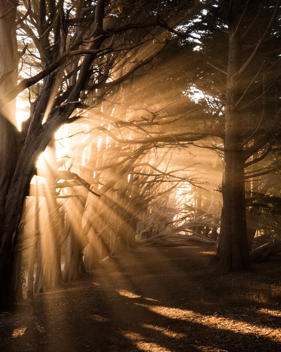 JennKichinko's tweet photo. Gm Gm!  Be the light for someone today ☀️☀️ https://t.co/XqAMzgMqzT