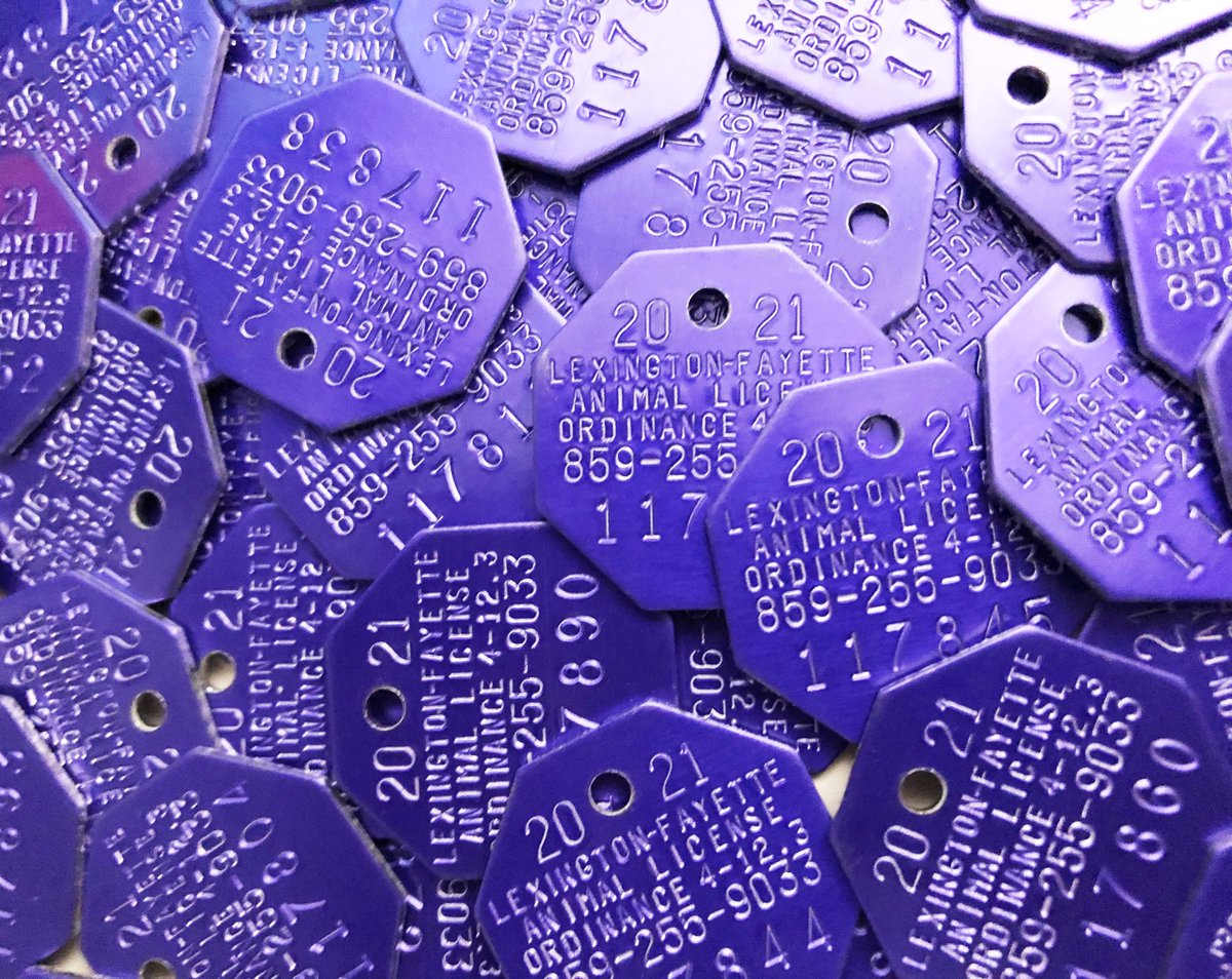 Lexington-Fayette Animal Care & Control tweet media