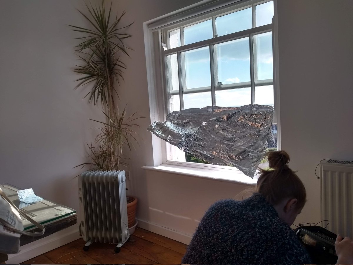 Eleanor Cully Boehringer tweet media